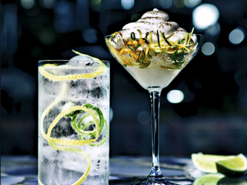 Gin & Tonic Proeverij | Hoek van Holland